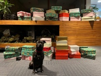 KOĽKO LÁSKY SA ZMESTÍ DO KRABICE OD TOPÁNOK?